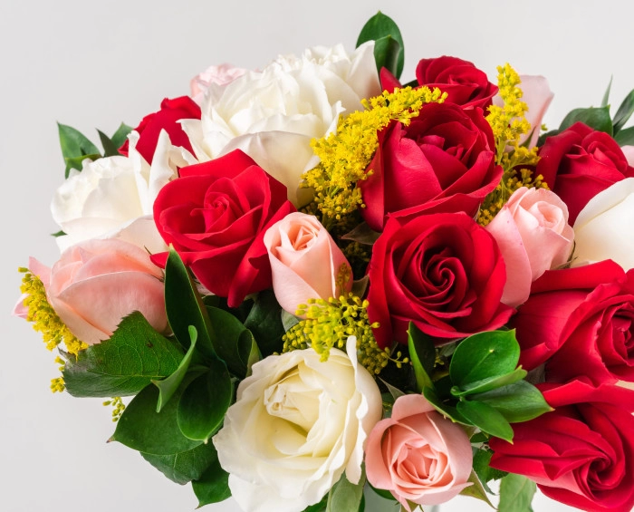 Buquê com 24 Rosas de Três Cores - Imagem 2