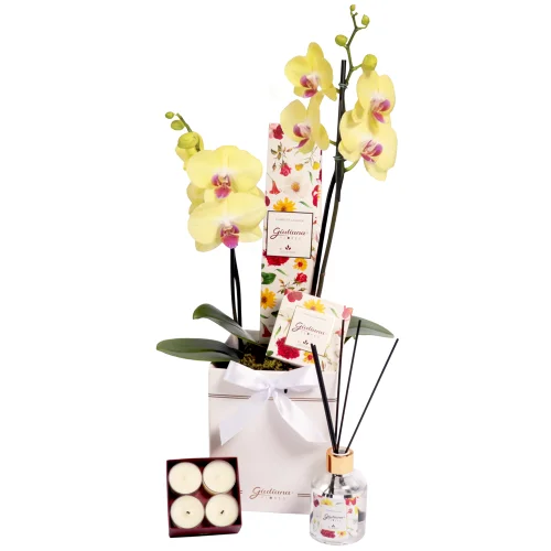 Orquídea Amarela no Box Branco e Linha Aromática - Imagem 2
