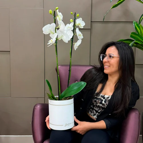 Orquídea Phalaenopsis Branca Garbo - Imagem 3